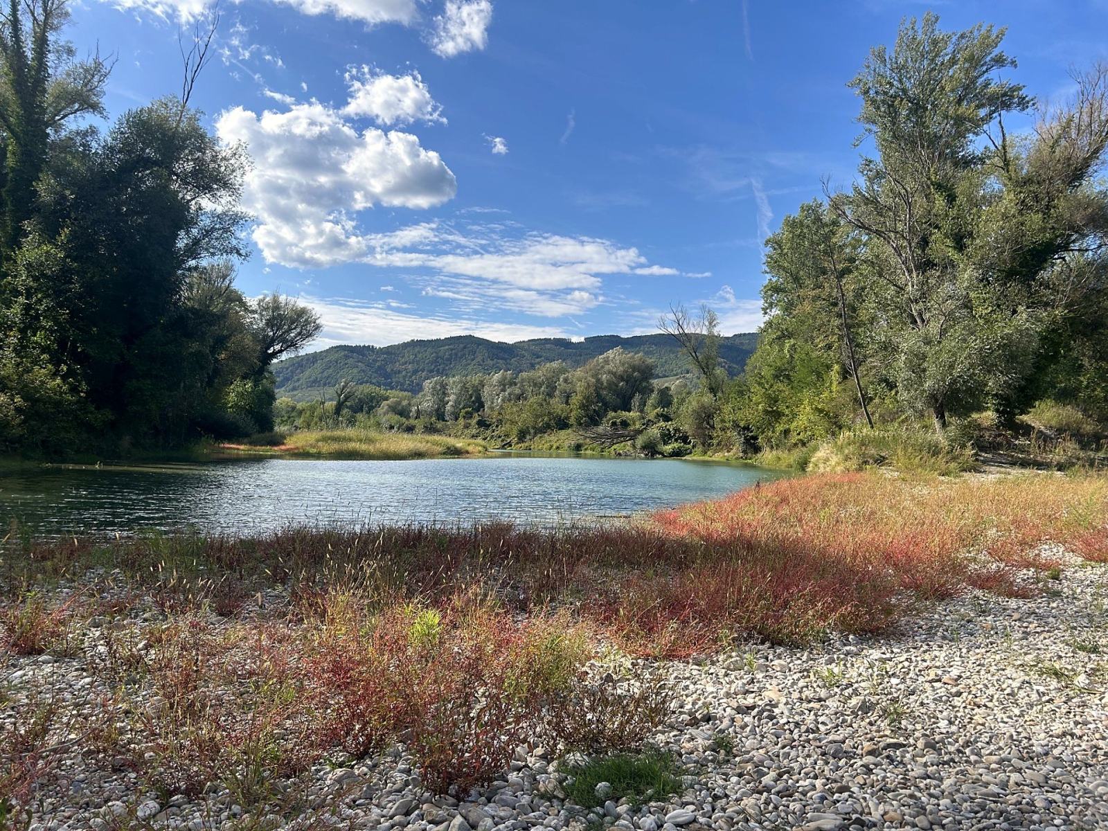 Herbstfarben am Donau-Altarm bei Rossatz