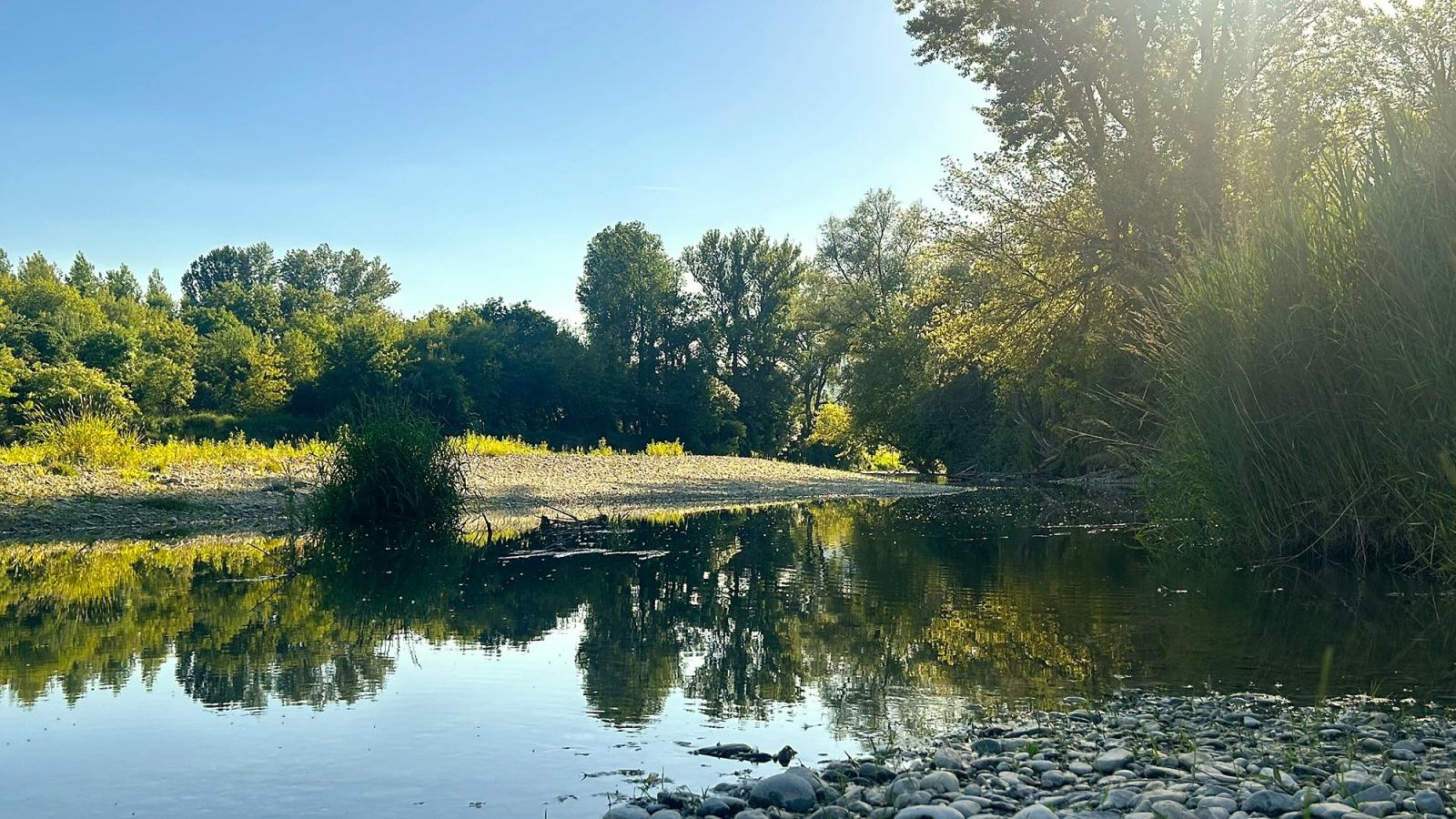Donau-Altarm bei Rossatz