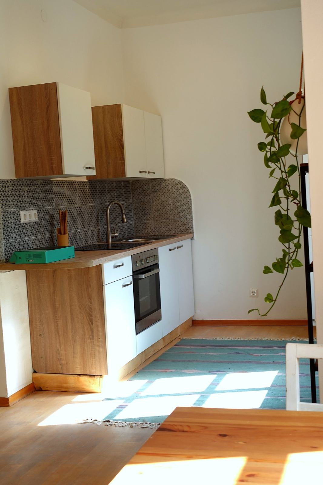 Küche der Gartenwohnung