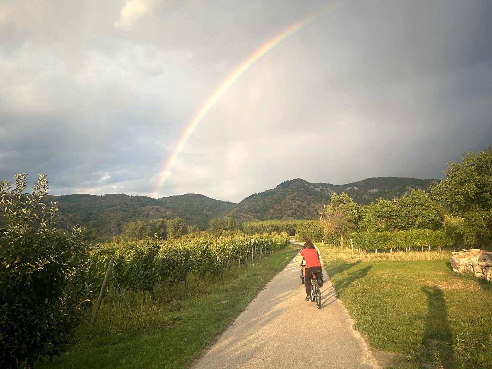 Radweg in der Wachau mit Regenbogen über den Weinbergen