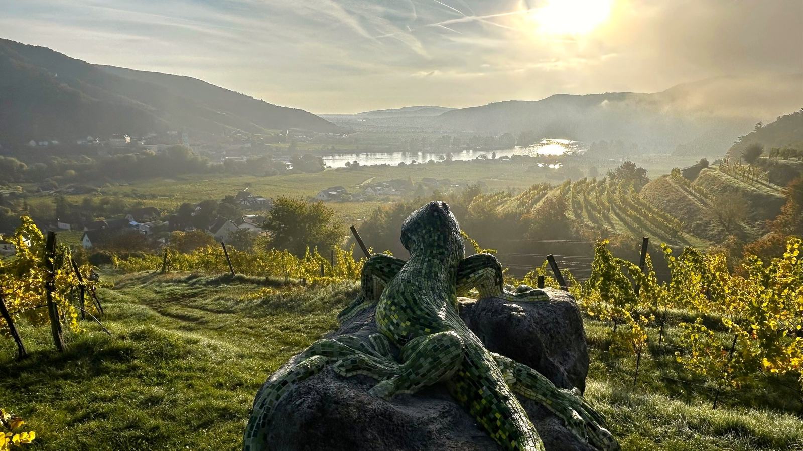 Morgenlicht über den Weinbergen der Wachau